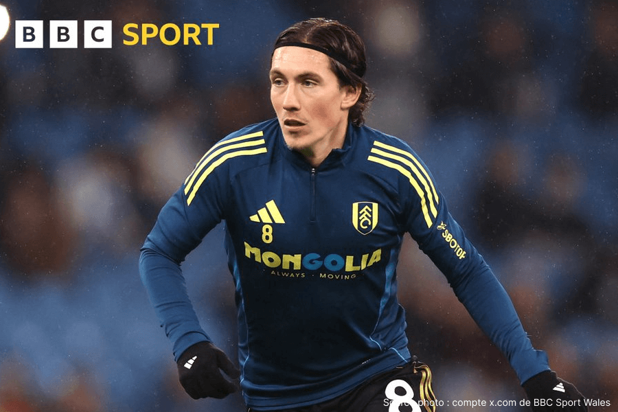 Harry Wilson célébrant un but sous le maillot de Fulham à Craven Cottage cette saison