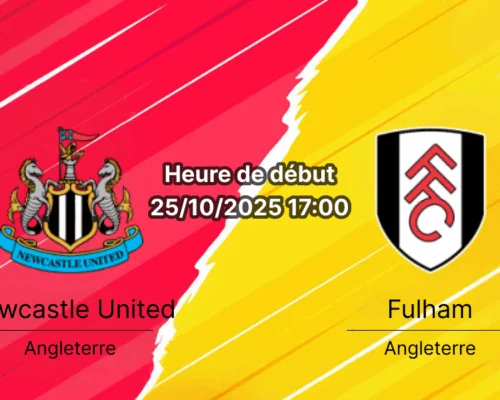 Nicky Woltemade et Anthony Gordon célèbrent un but de Newcastle contre Fulham en Premier League